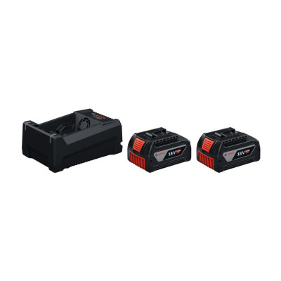 Bosch GBA 18V / GAL 12V-18 18 V 5,0 Ah (2 akumuliatoriai) – akumuliatorių ir įkroviklio komplektas