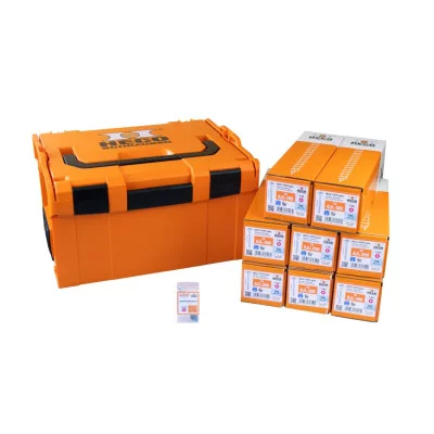Heco varžtų plokščia galvute TG 1  rinkinys plastikiniame L-BOXX 238 dėkle, 400 vnt.