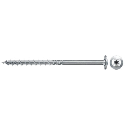 Fischer medsraigtis padidinta galva FPF II WTP BC 6,0 x 220 100 vnt.