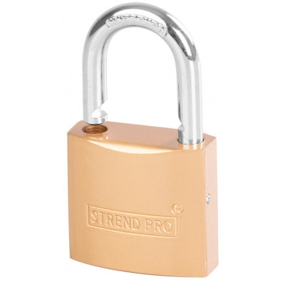 Strend Pro pakabinama spyna 252044, 38 mm